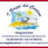 I VIAGGI DEL CARLINO
