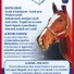 IL CUORE OLTRE L’OSTACOLO