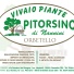VIVAIO PIANTE PITORSINO