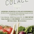 VIVAIO COLACE