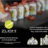 ZUSHI JAPANESE RESTAURANTS