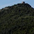 Torre dell’Avvoltore