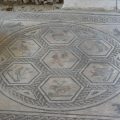 Domus del Chirurgo