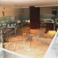 Domus Romana di Via Varrone