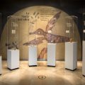 Museo dell'Olivo