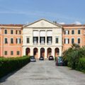 Casini D'Ardenza