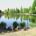 Giardino Ducale Estense