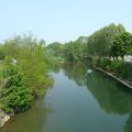 Parco Regionale La Mandria