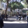 Viale Ceccarini