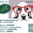 OTTICA AR