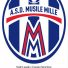 A.S.D. MUSILE MILLE