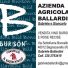 AZIENDA AGRICOLA BALLARDINI