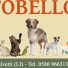 PORTOBELLO PET