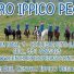 CENTRO IPPICO PEGASO