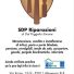 SDP RIPARAZIONI