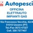 AUTOPESCIA