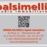 BALSIMELLI STUDIO IMMOBILIARE 