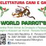 WORLD PARROT'S 