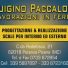 LUIGINO PACCALONI