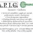 A.P.I.G. 