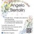 ANGELO BERTOLIN 