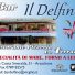 IL DELFINO