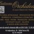 PASTICCERIA ORCHIDEA 