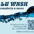 BLUWASH