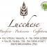 LUCCHESE