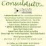 CONSULAUTO sas