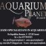 AQUARIUM PLANET