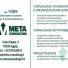 META CONSULTING