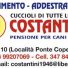 COSTANTINI 