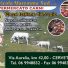 AGRICOLA MAREMMA SUD 