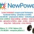 NEW POWER