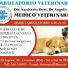 AMBULATORIO VETERINARIO 