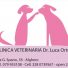 CLINICA VETERINARIA dr. Luca Ortu