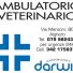 AMBULATORIO VETERINARIO DARWIN