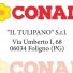 CONAD IL TULIPANO