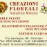 FIORI E PIANTE MINNEI NATALINA