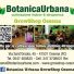 BOTANICA URBANA