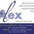 ALEX