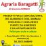 AGRARIA BARAGATTI