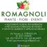 ROMAGNOLI