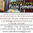TAPPEZZERIA PICCHI DOMENICO