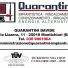 QUARANTINI