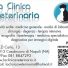 LA CLINICA VETERINARIA