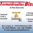 TERMOIDRAULICA BISA