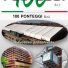 100 PONTEGGI