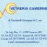VETRERIA CAMERINESE